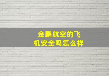 金鹏航空的飞机安全吗怎么样