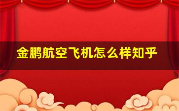 金鹏航空飞机怎么样知乎