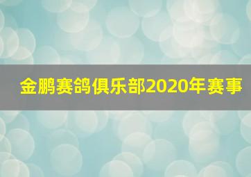 金鹏赛鸽俱乐部2020年赛事