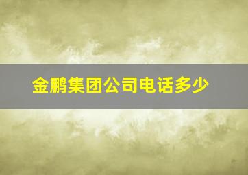 金鹏集团公司电话多少