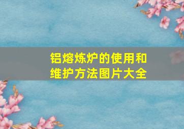 铝熔炼炉的使用和维护方法图片大全