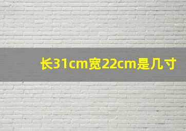 长31cm宽22cm是几寸