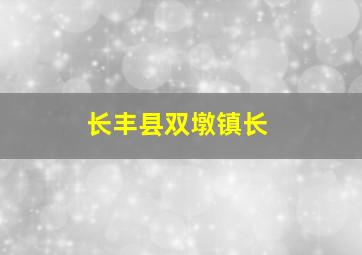 长丰县双墩镇长