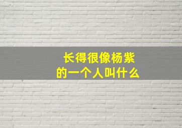 长得很像杨紫的一个人叫什么