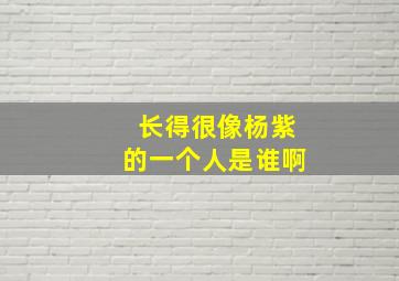 长得很像杨紫的一个人是谁啊