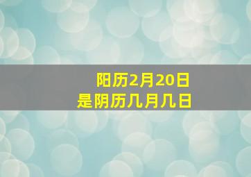 阳历2月20日是阴历几月几日