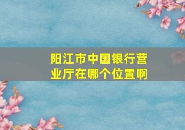 阳江市中国银行营业厅在哪个位置啊