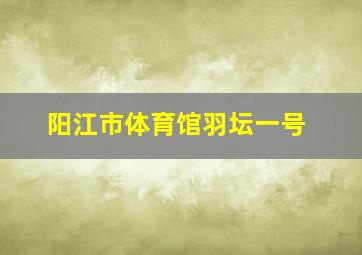 阳江市体育馆羽坛一号