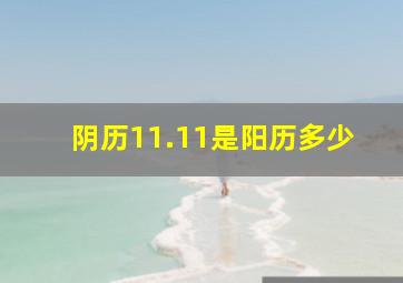 阴历11.11是阳历多少