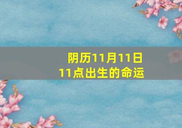 阴历11月11日11点出生的命运