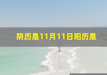 阴历是11月11日阳历是