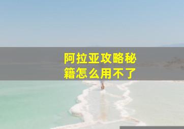 阿拉亚攻略秘籍怎么用不了