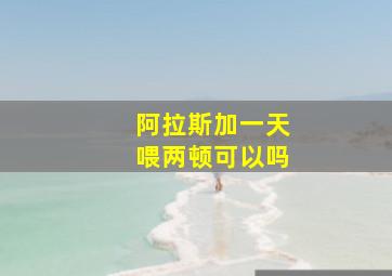 阿拉斯加一天喂两顿可以吗