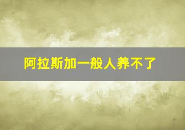 阿拉斯加一般人养不了