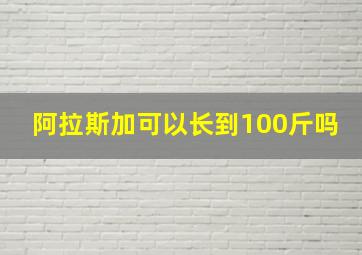 阿拉斯加可以长到100斤吗