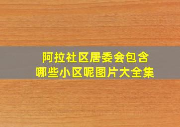 阿拉社区居委会包含哪些小区呢图片大全集