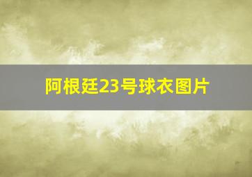 阿根廷23号球衣图片