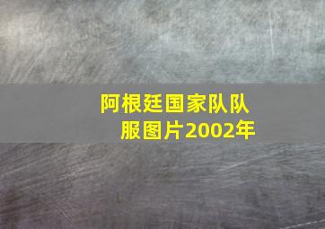 阿根廷国家队队服图片2002年