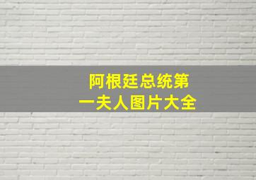 阿根廷总统第一夫人图片大全