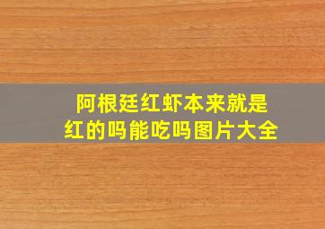 阿根廷红虾本来就是红的吗能吃吗图片大全