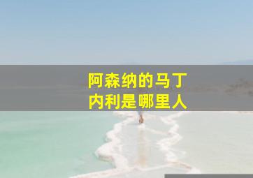 阿森纳的马丁内利是哪里人