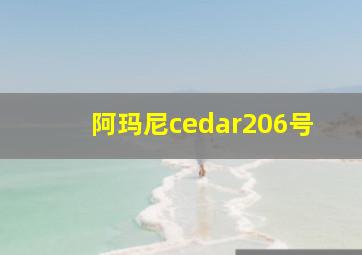 阿玛尼cedar206号