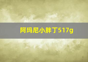 阿玛尼小胖丁517g