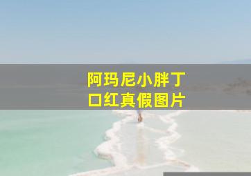 阿玛尼小胖丁口红真假图片