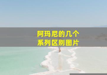 阿玛尼的几个系列区别图片