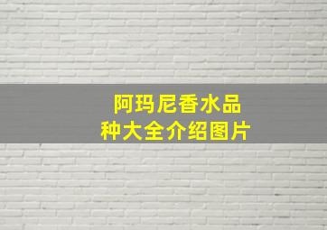 阿玛尼香水品种大全介绍图片