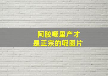 阿胶哪里产才是正宗的呢图片