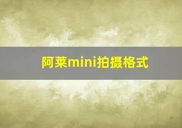 阿莱mini拍摄格式