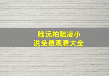 陆沅柏陆凌小说免费观看大全