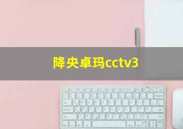 降央卓玛cctv3