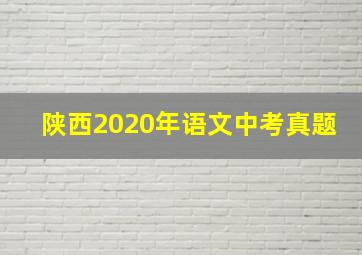 陕西2020年语文中考真题