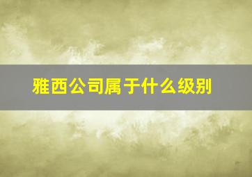 雅西公司属于什么级别