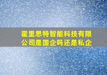 霍里思特智能科技有限公司是国企吗还是私企