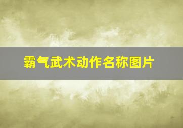 霸气武术动作名称图片