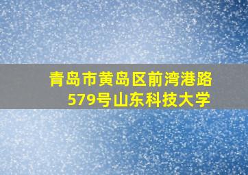 青岛市黄岛区前湾港路579号山东科技大学