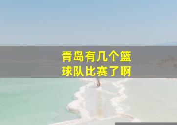 青岛有几个篮球队比赛了啊