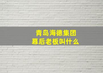 青岛海德集团幕后老板叫什么