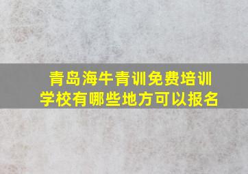 青岛海牛青训免费培训学校有哪些地方可以报名