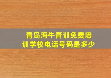 青岛海牛青训免费培训学校电话号码是多少