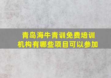 青岛海牛青训免费培训机构有哪些项目可以参加