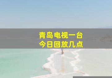 青岛电视一台今日回放几点