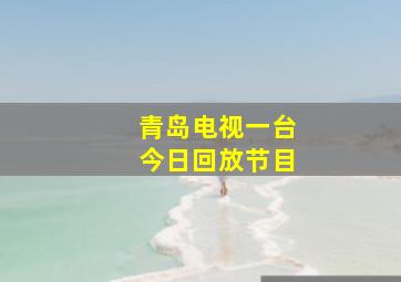 青岛电视一台今日回放节目