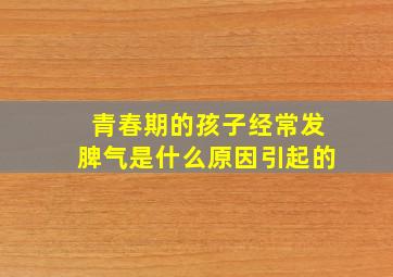 青春期的孩子经常发脾气是什么原因引起的