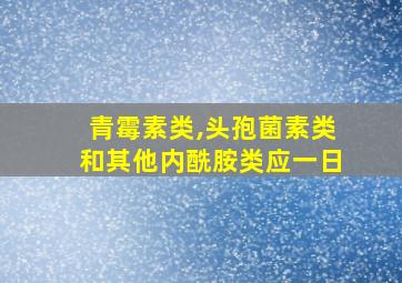 青霉素类,头孢菌素类和其他内酰胺类应一日