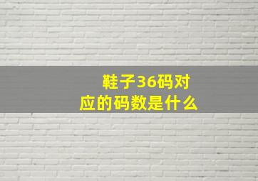 鞋子36码对应的码数是什么