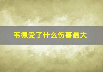 韦德受了什么伤害最大